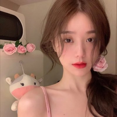 艾哈迈德王子历险记